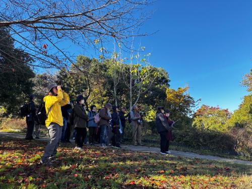 双眼鏡を持ち野鳥を探す参加者の様子