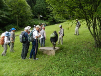 おべんと広場の観察会