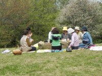 おべんとう広場でお茶会