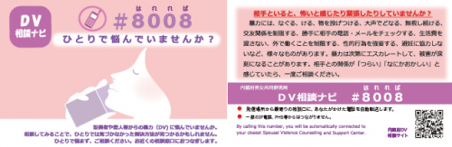 DVナビ ♯8008