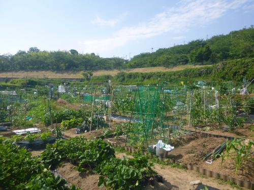 貸農園イメージ