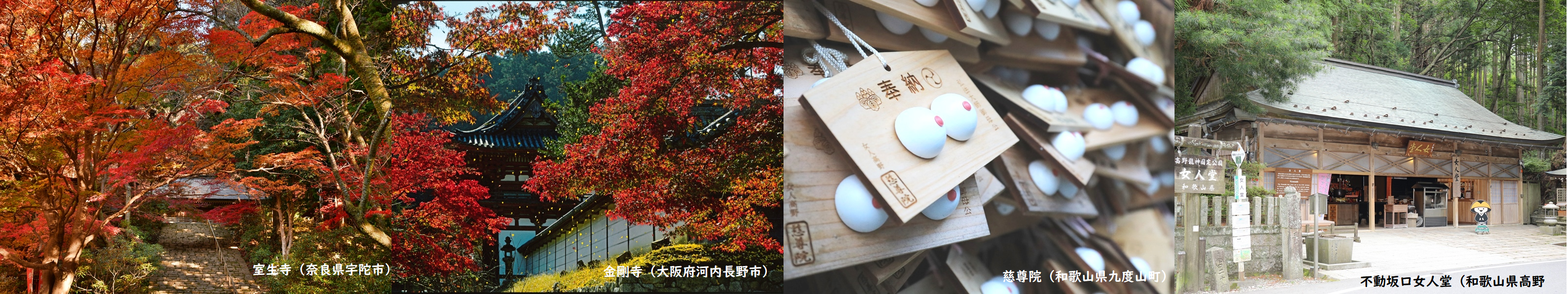 女人高野の寺院