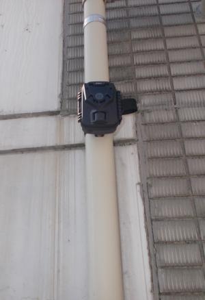 トレイルカメラ