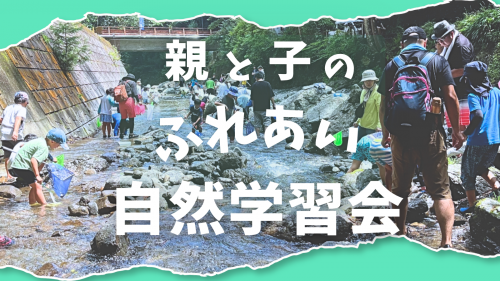 親と子のふれあい自然学習会 告知画像