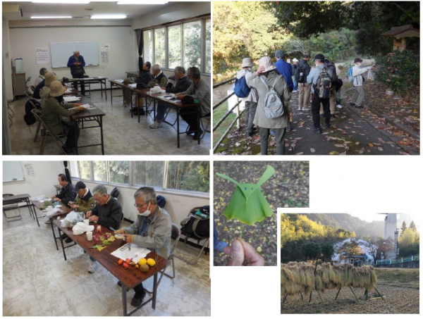 「天見の里山・自然散策」講座の様子　11月15日（水曜日）